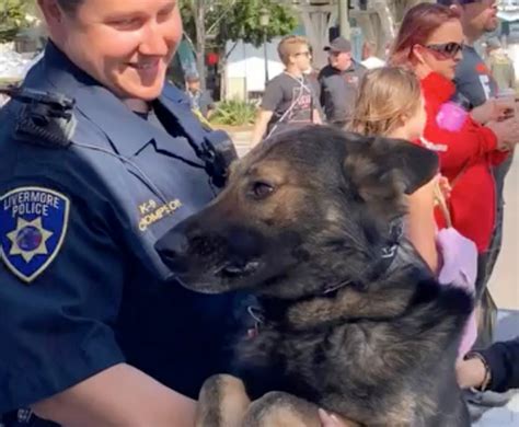 Livermore police say goodbye to beloved K-9 Bugsy